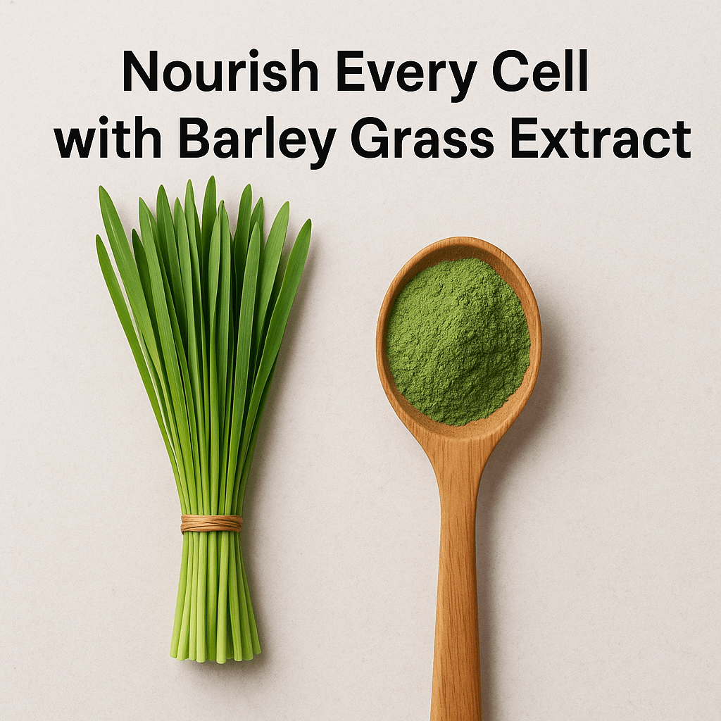 ChatGPTImageMay12025092251AM_m1ndm_1024