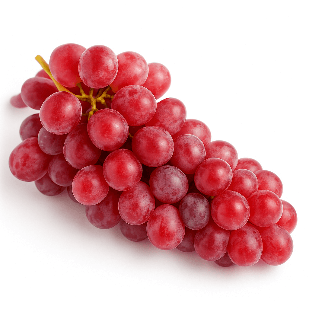 ChatGPTImageMay12025114236AM_qwmti_1024