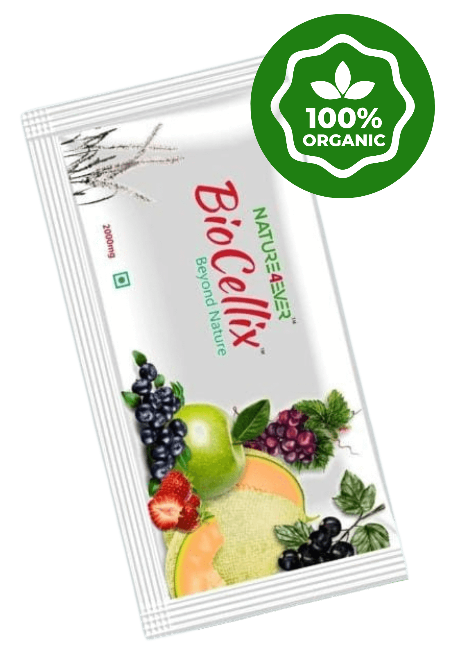 GreenandBeigeBurgerPhotoCreativePromotionalPoster3_e3mjm_1587