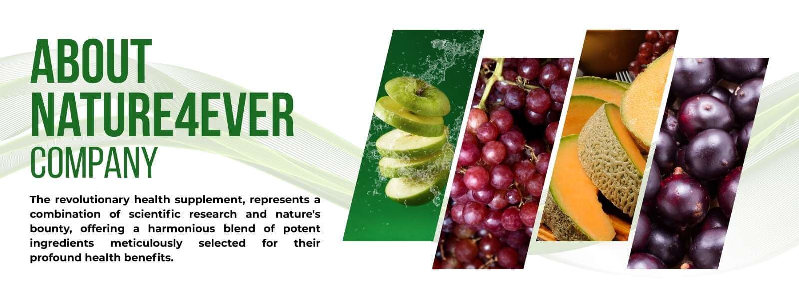 Nature4EverBanner11_i1mdu_1600