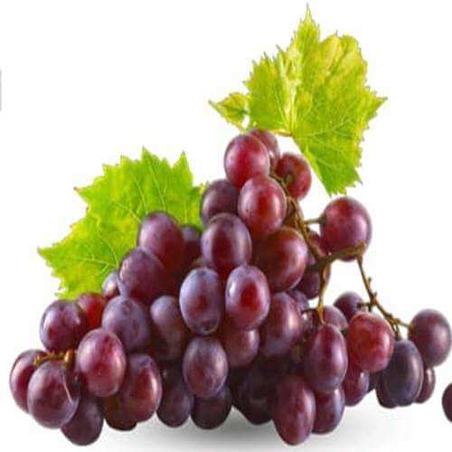enhancedgrapeimage500x500_g1oti_500