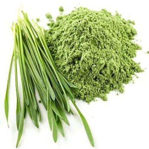 resizedenhancedgreenpowderimage500x500_uwody_500