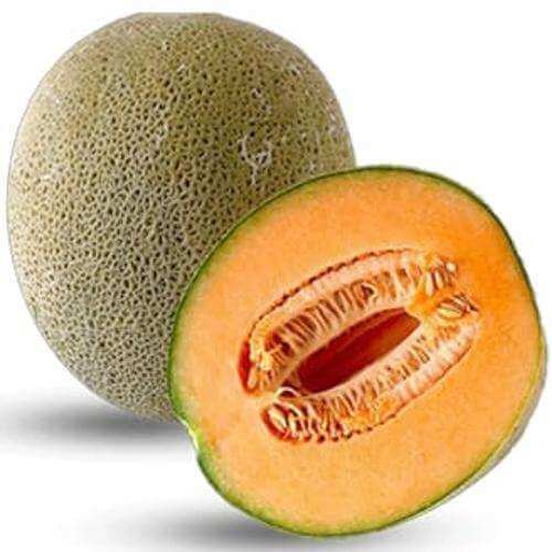 resizedmelonimage500x5001_e2njq_500