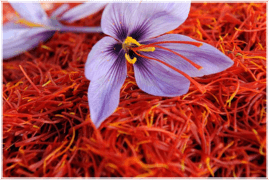 u5mdm_269_3saffron