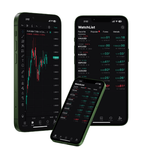 TradingPlatform_cynjk_500