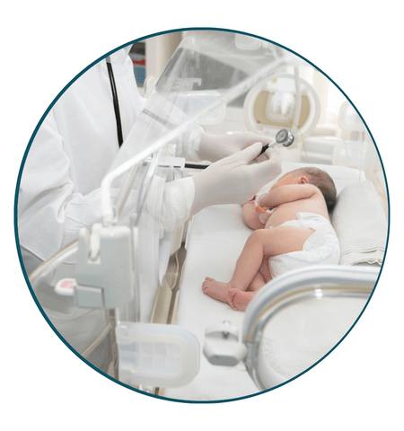 kwnzu_450_doccourse2