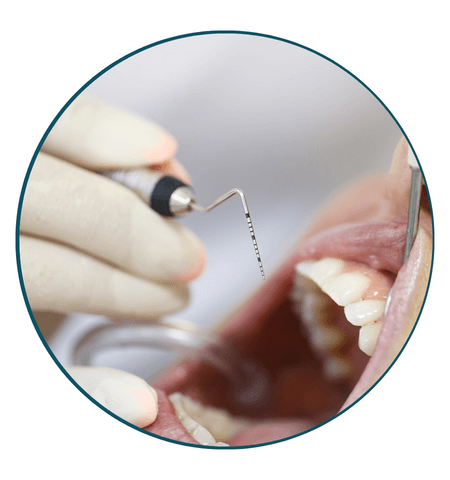 qxmja_450_dentalcourse4