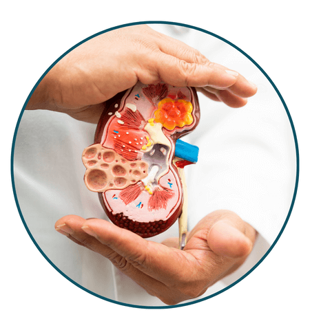 y4ody_450_doccourse3