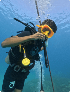 Rectangle1636_ywnta_288