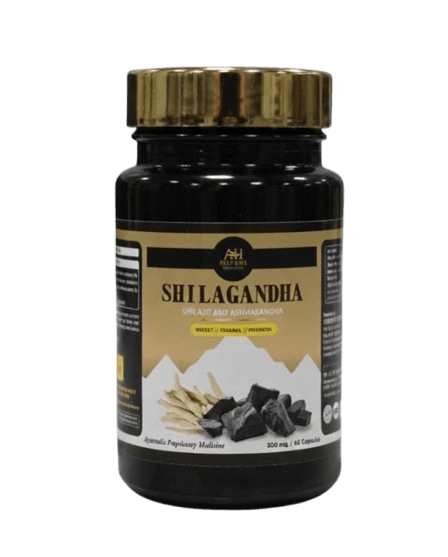 Shilagandharemovebgpreview_u1mzy_448