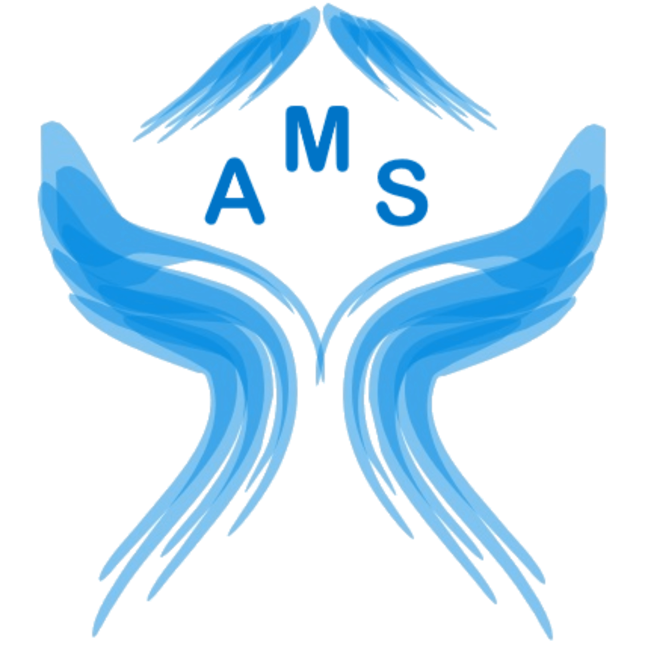 AMSLogo_c0nzy_2160