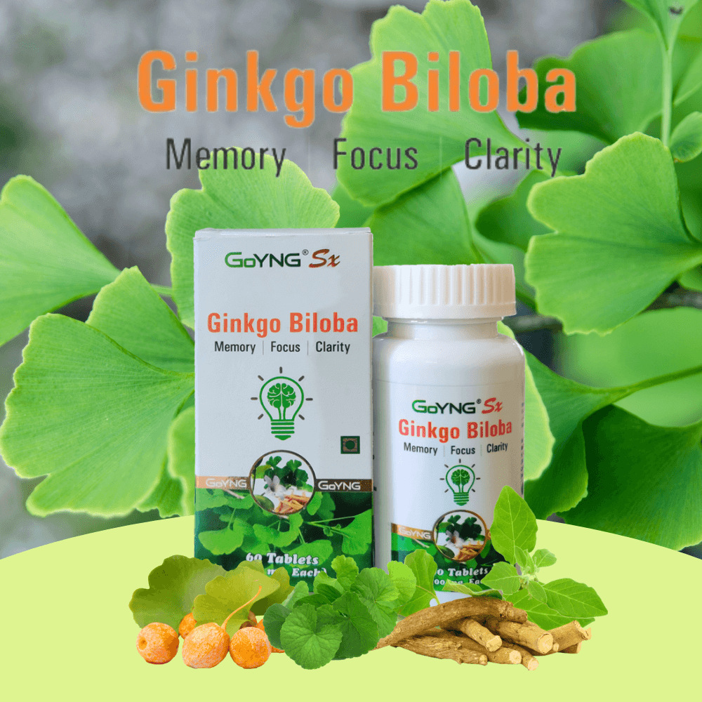 GinkgoBiloba_yymjq_1000