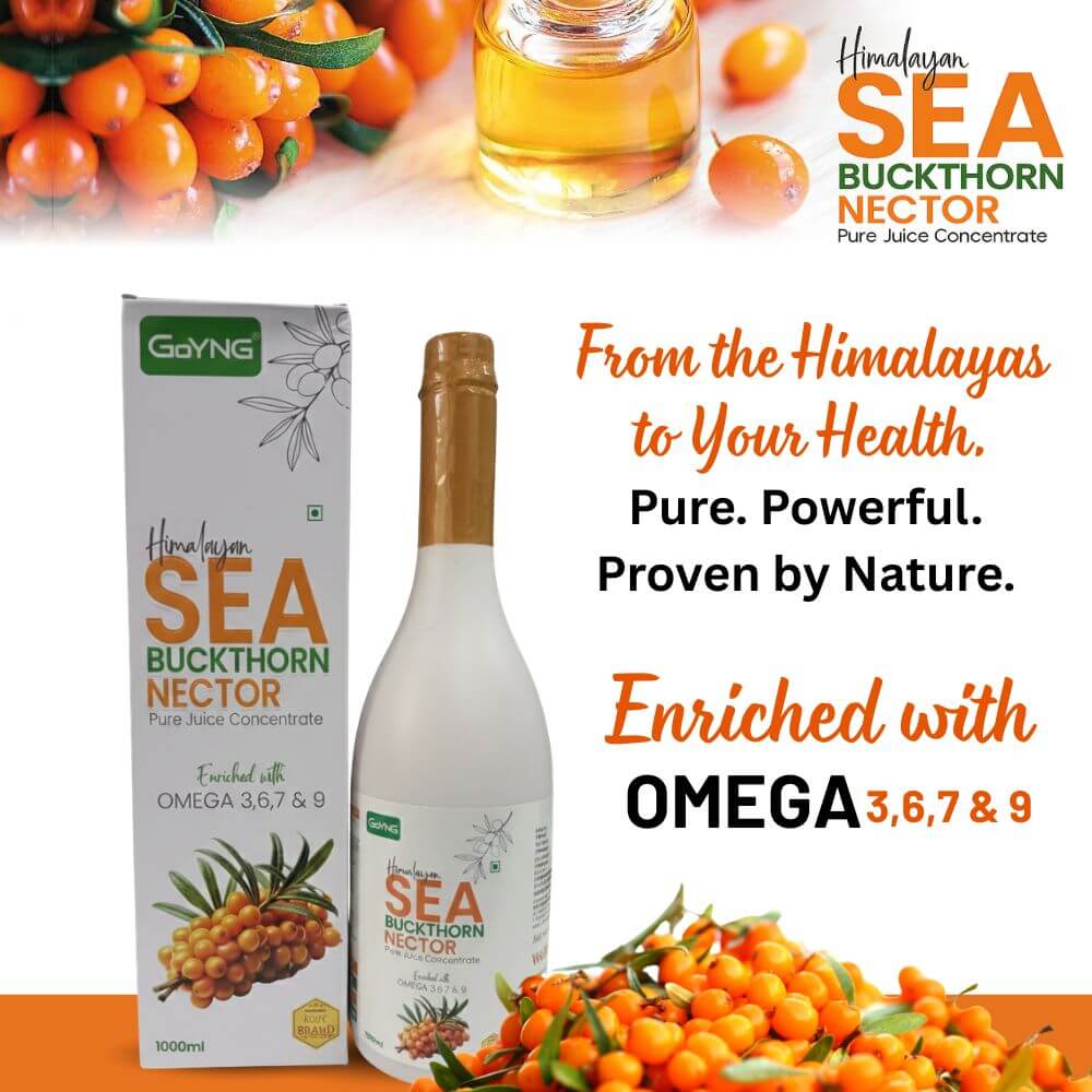 Seabuckthornnector_lmfw7_1000