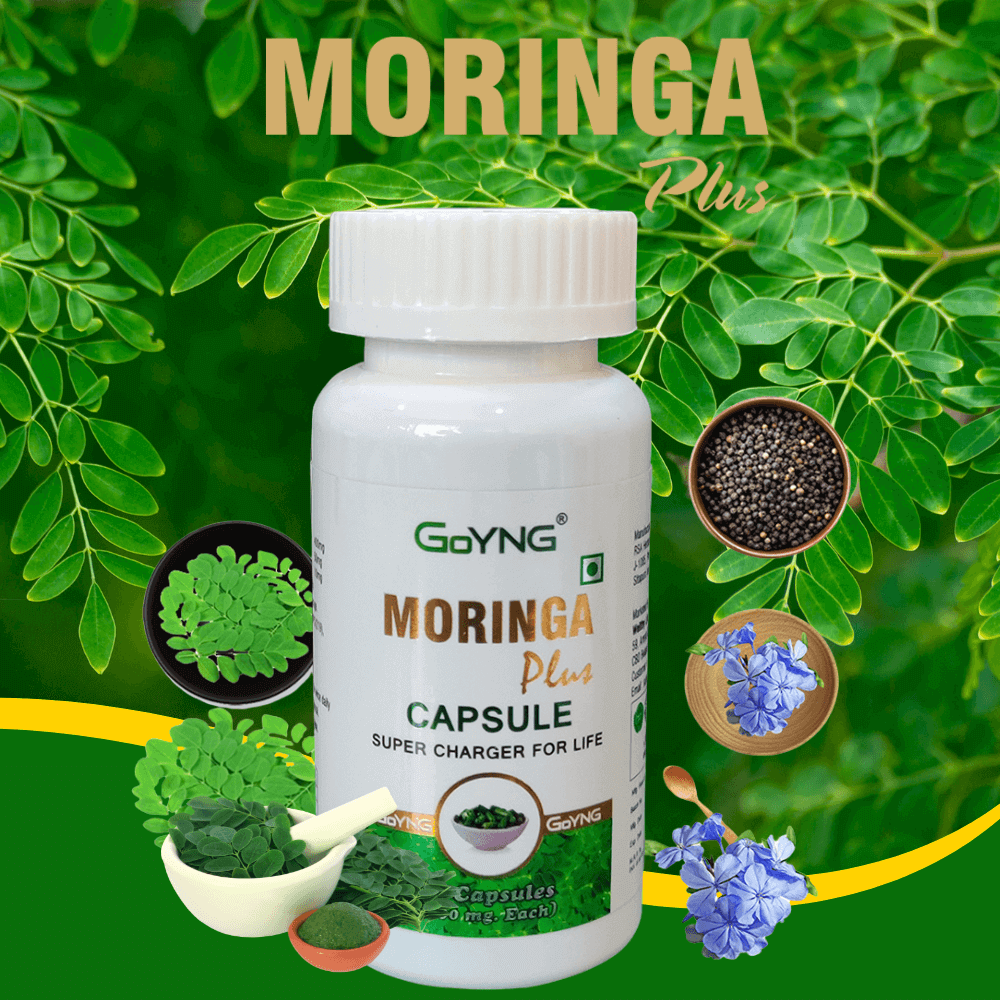 moringa2_u4nzk_1000