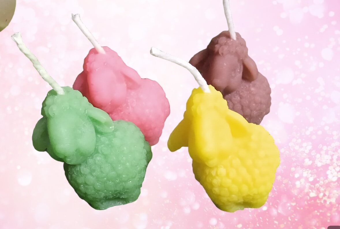 IMG20231204215255Photoroom_iwnjm_1178