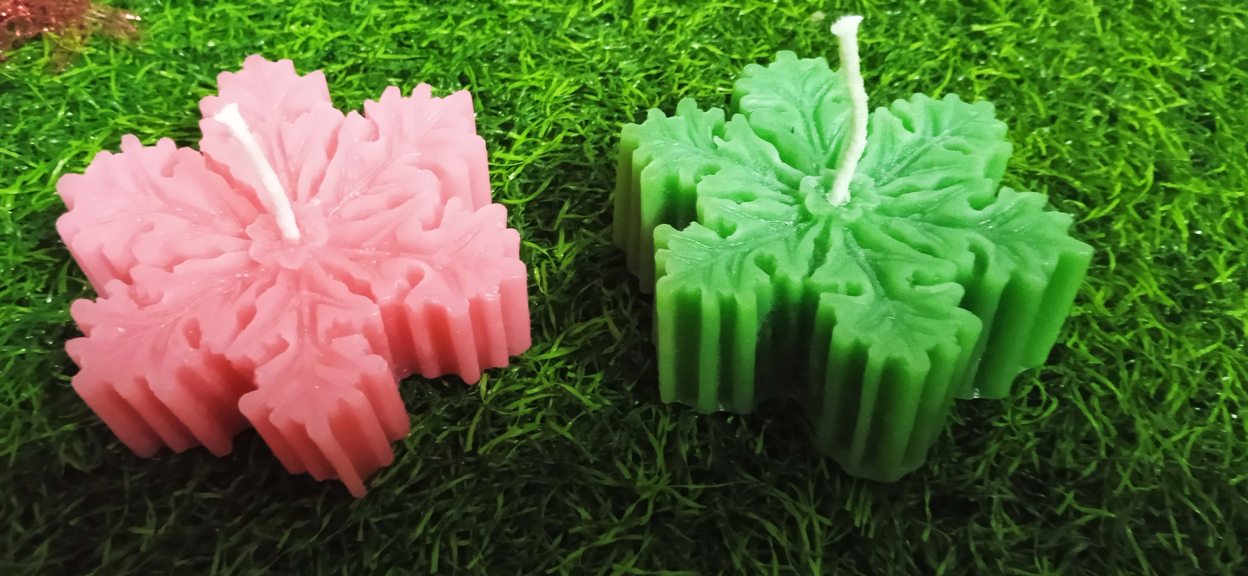 IMG20231204221226_u1nzu_4160