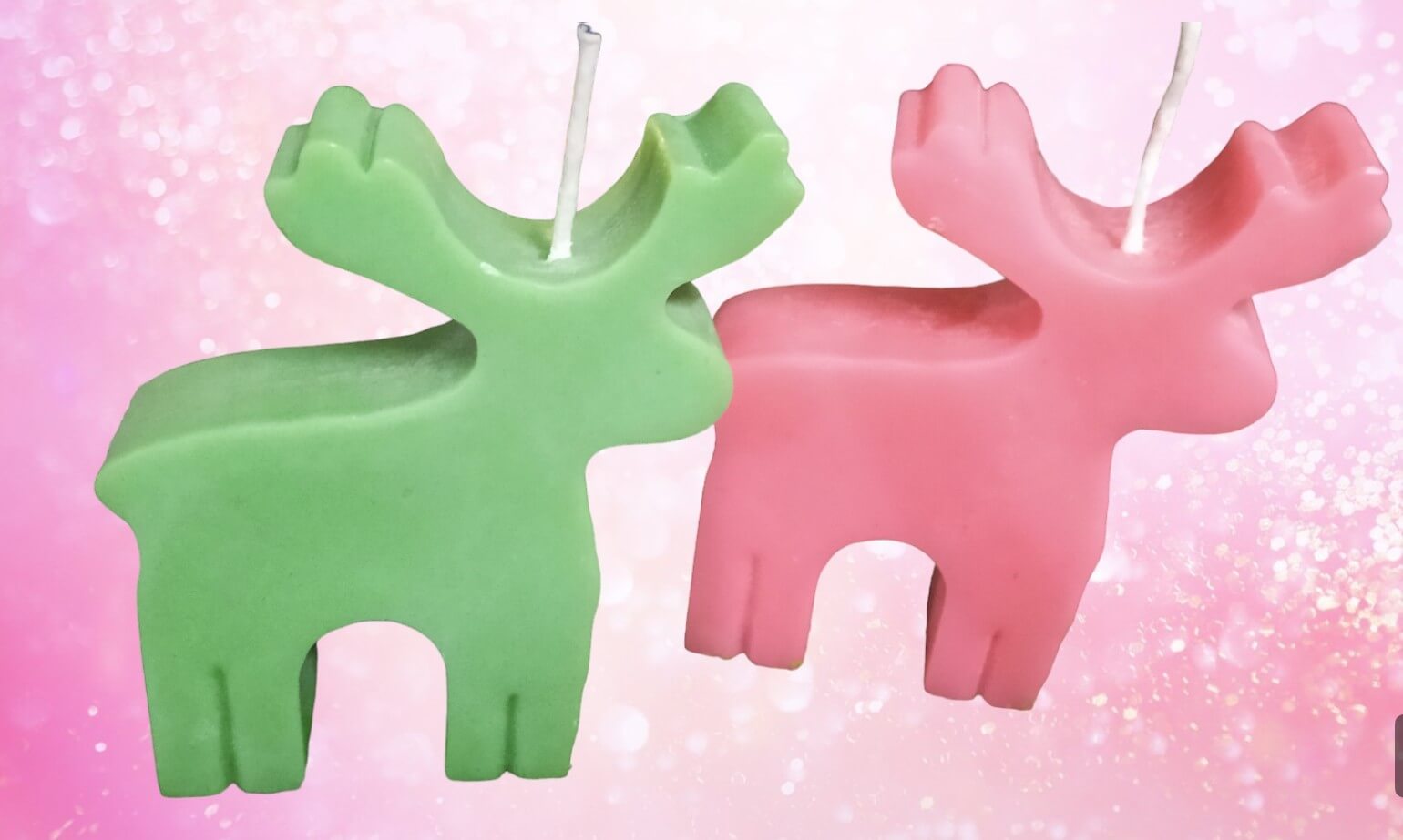 IMG20231204221750Photoroom_g2oda_1540