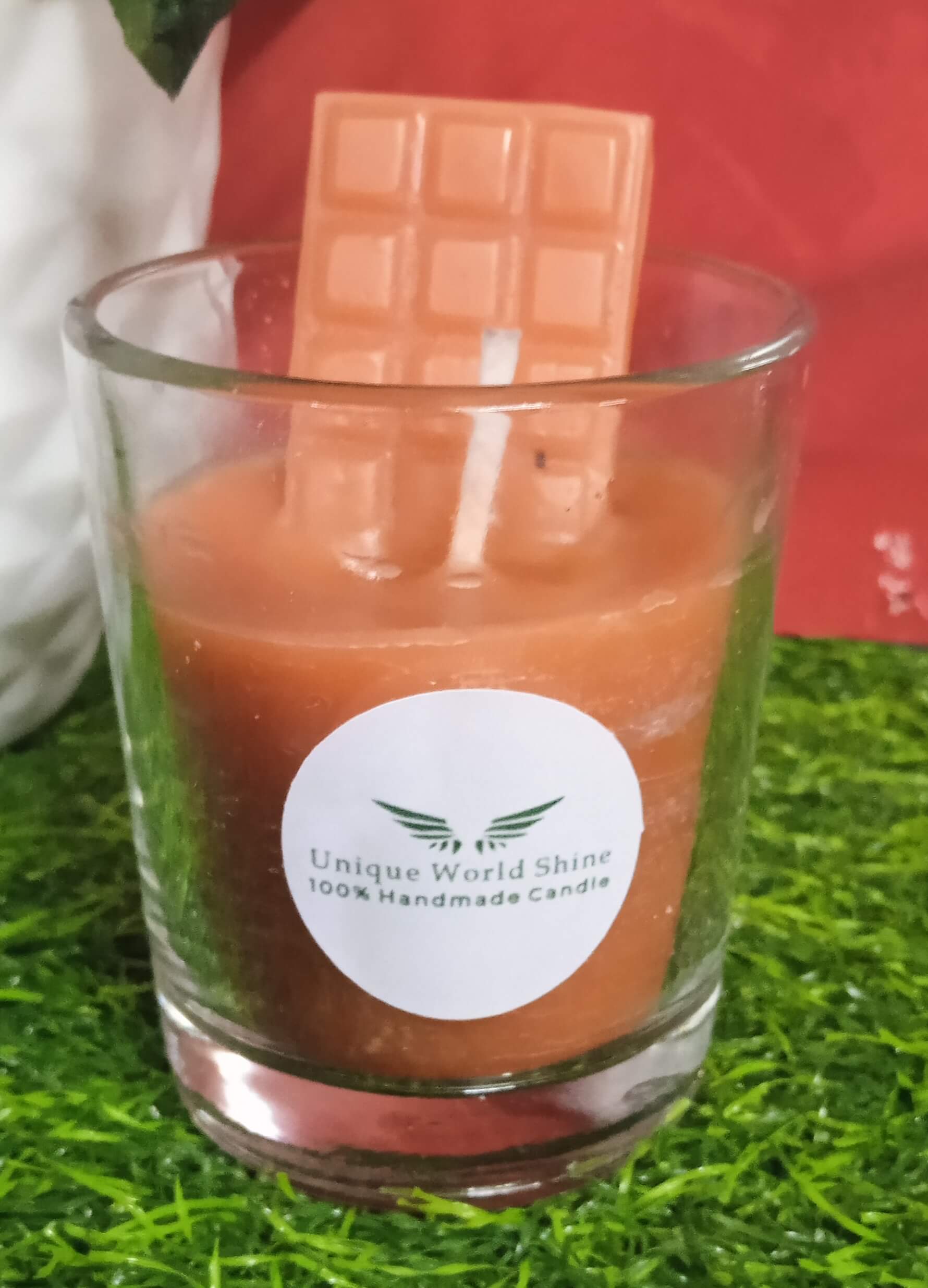 IMG20240227221140_yynty_1780