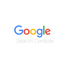 googlesearchconsole2_mxntk_250