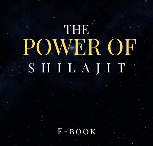 ShilajitebookcoverCopy_a2nty_512