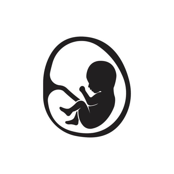 Pregnantmotherandfetusiconlogovectordesign_m4njm_736