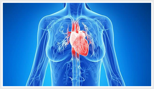 heartstress21_y5nzk_649