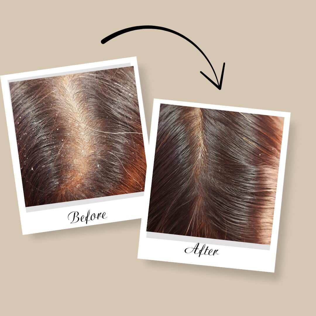 WhatsAppImage20250422at10_iznzm_1080