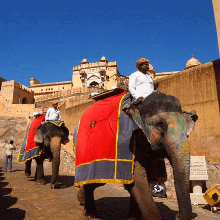 ElephantRides_u2nja_435