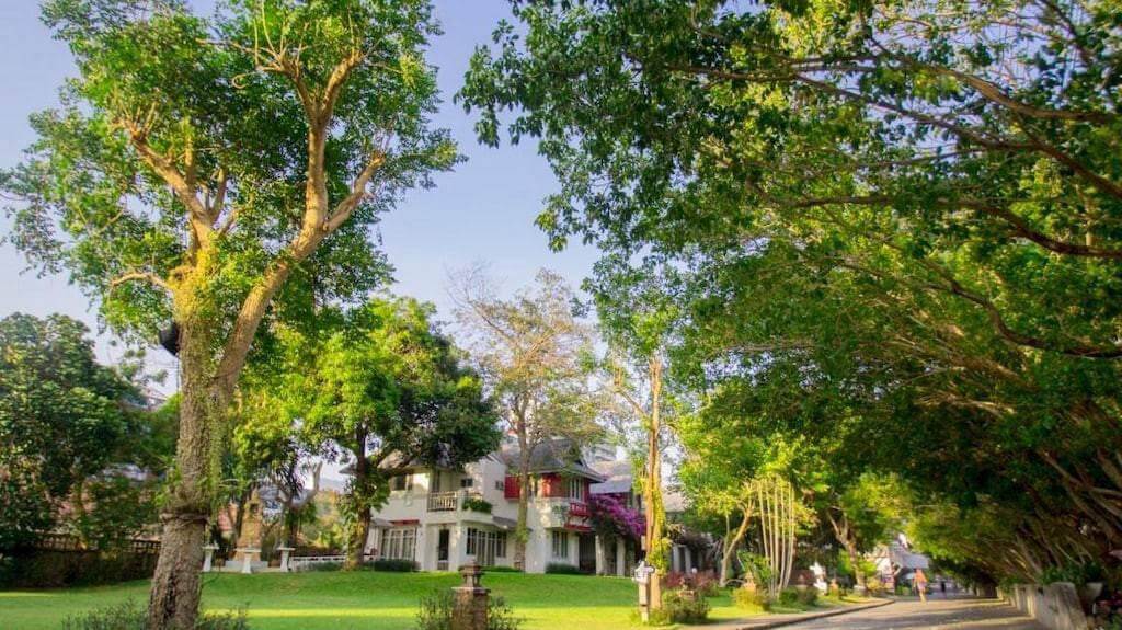 WhatsAppImage20260127at3