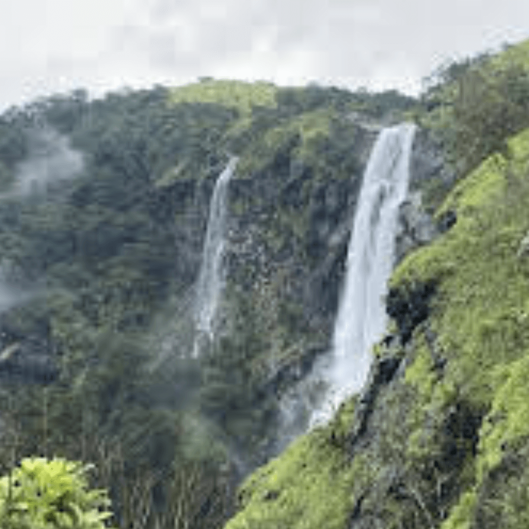 awnjg_1080_bandaje1