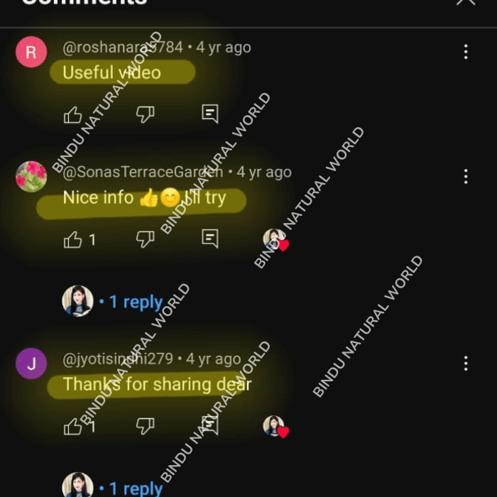 Untitled1080x980px1080x700px700x1080px700x700px22_ezota_700