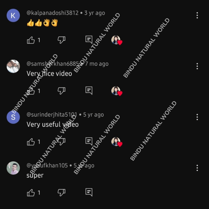 Untitled1080x980px1080x700px700x1080px700x700px46_a0ody_700