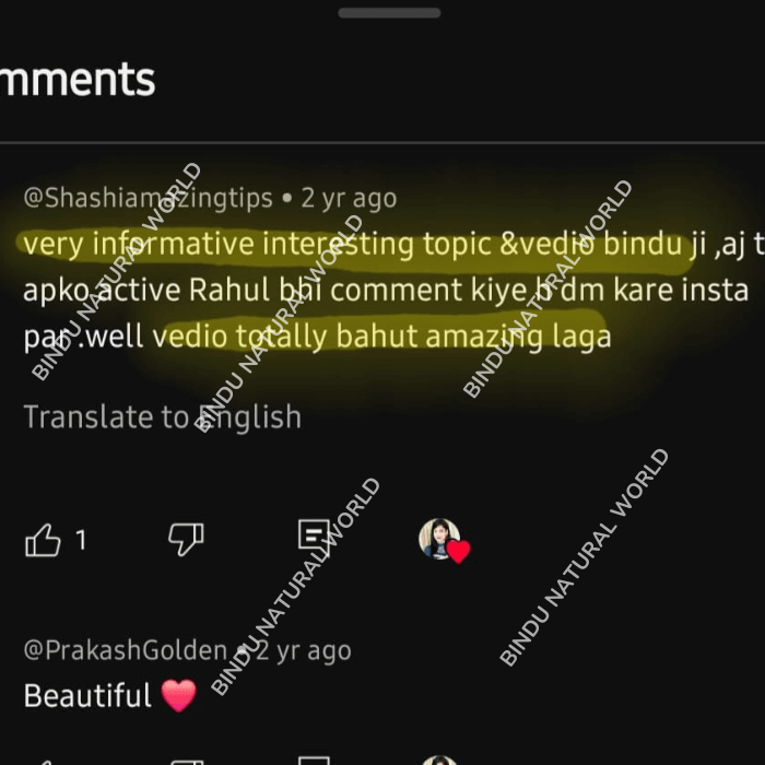 Untitled1080x980px1080x700px700x1080px700x700px52_ywnzq_700