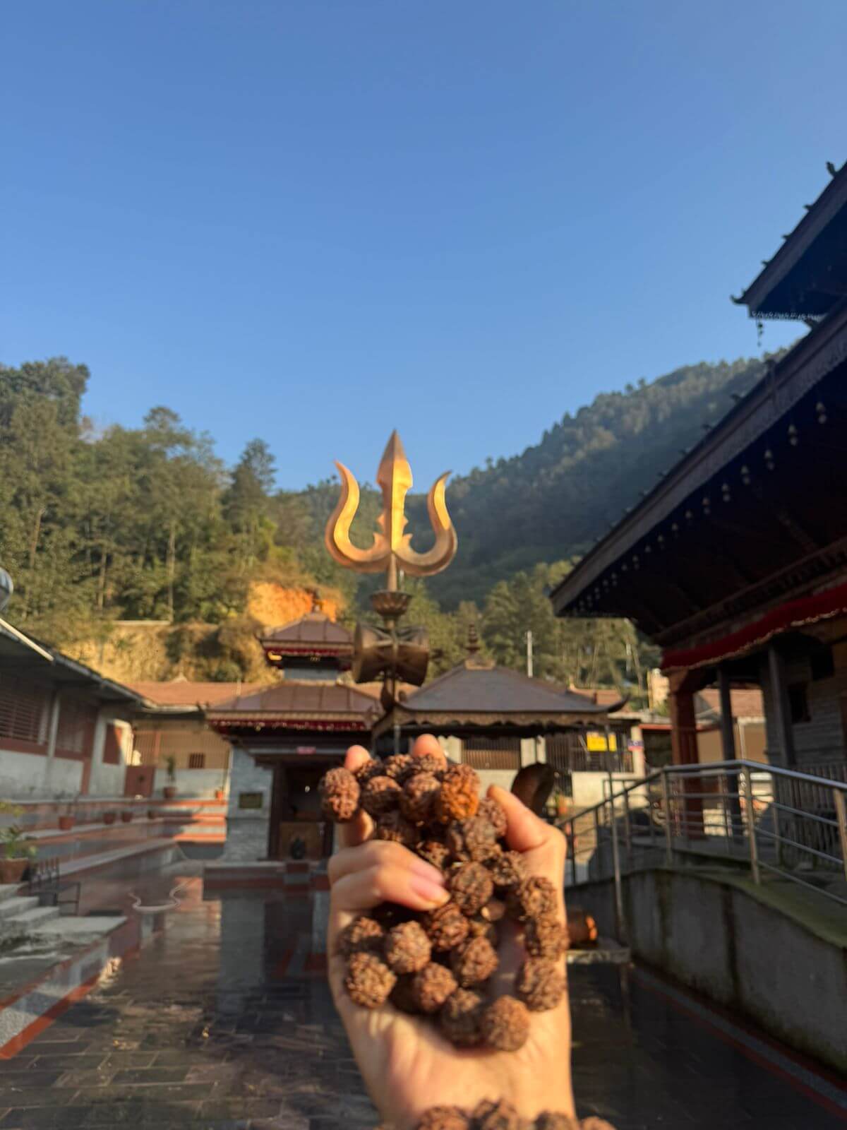 WhatsAppImage20250101at11_e5mdk_1200