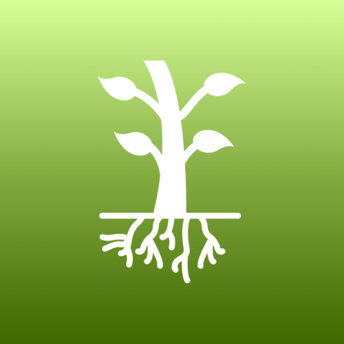 Untitleddesign20260204T113229