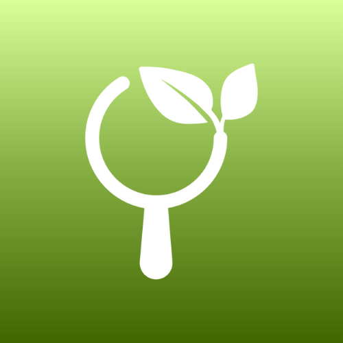 Untitleddesign20260204T115242