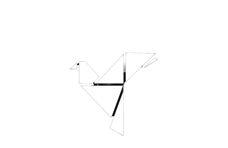 gwotg_800_Myproject2