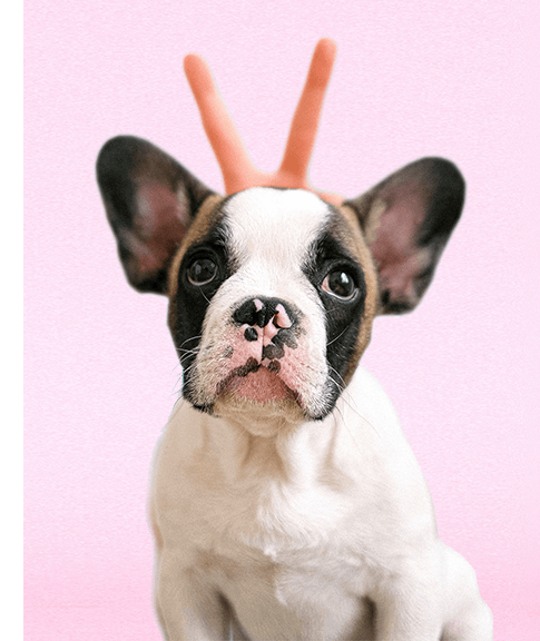 u1nja_485_9QFZQi9BWx485qIVaej75gl485img