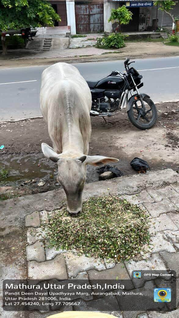 IMG20250910141313635_o291j_586