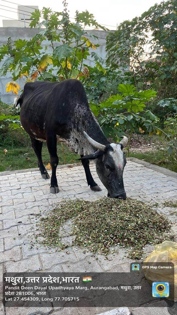 IMG20251002113734586_5cmvn_586