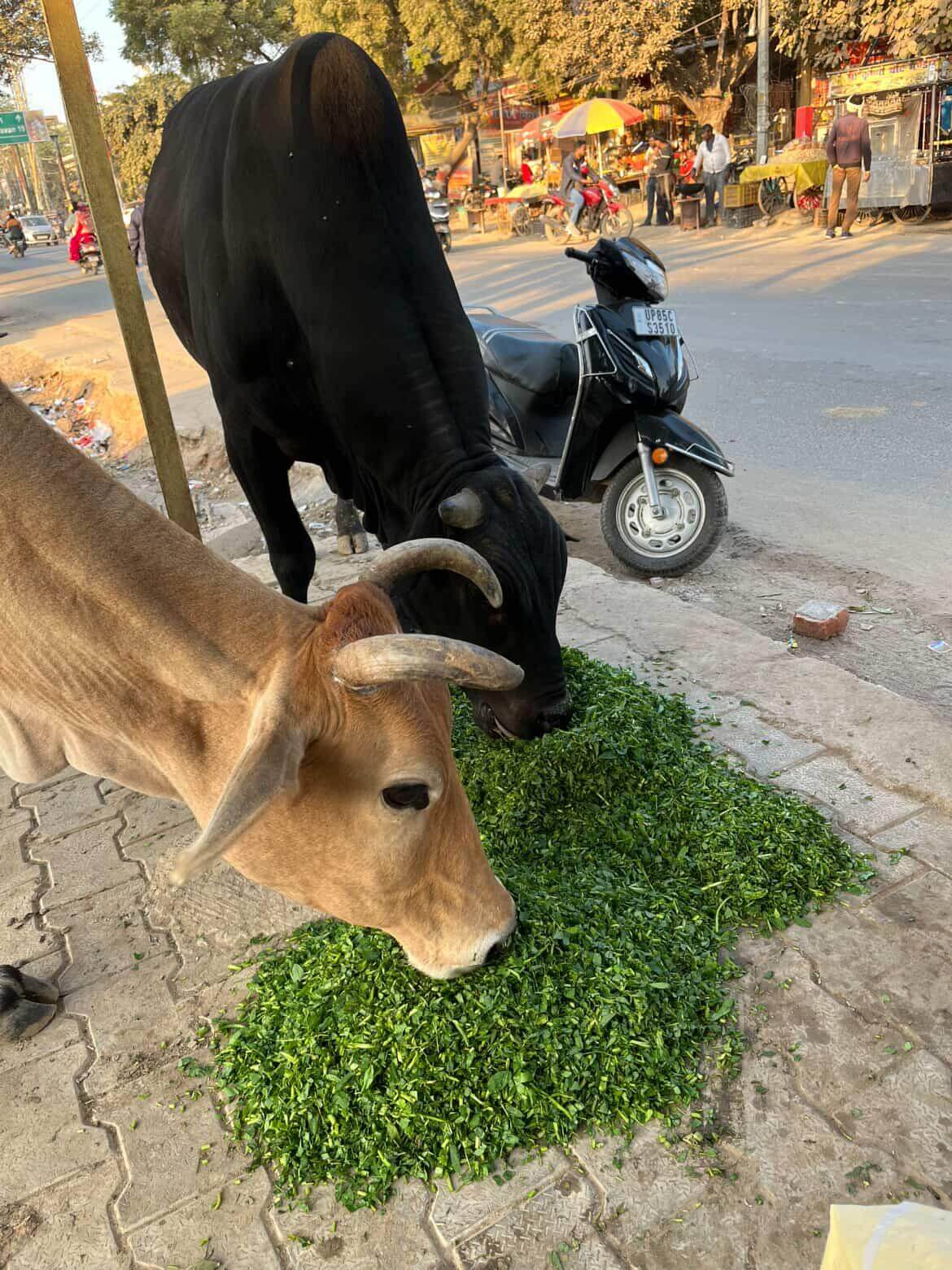 IMG202512111900080881_d8cw9_1170