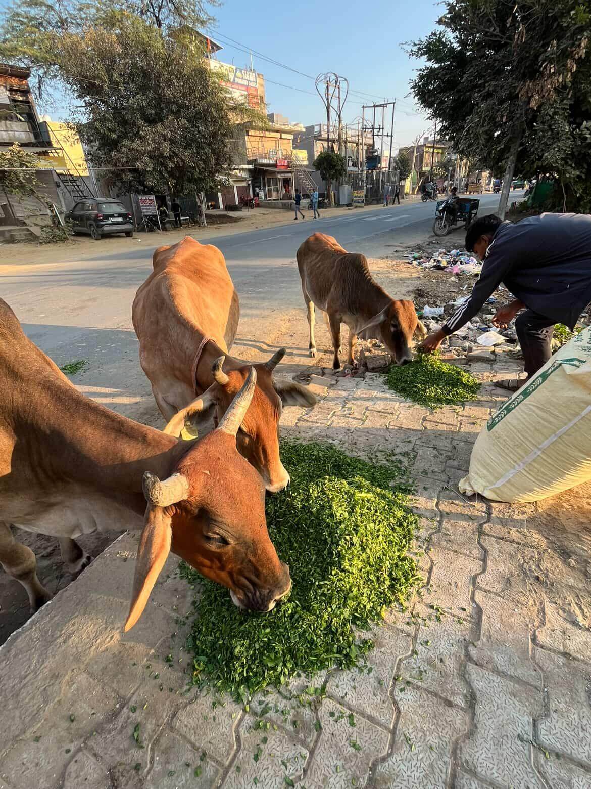 IMG202512111900171291_soq2e_1170