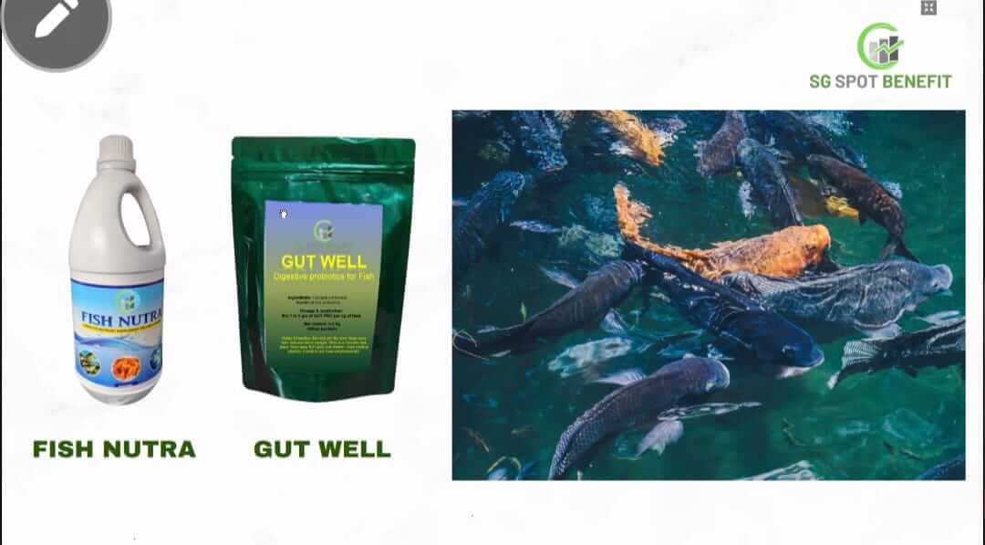 IMG20250506WA0070_g1nju_1080