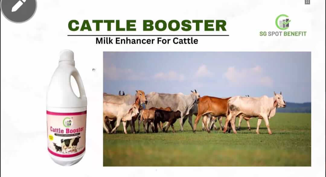 IMG20250506WA0072_gzmtc_1080