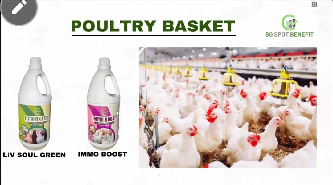 IMG20250506WA0073_a4mta_1080