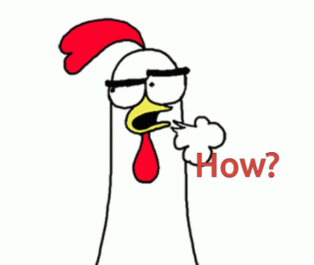 chickenchickenbroHOW1_g4ndc_456