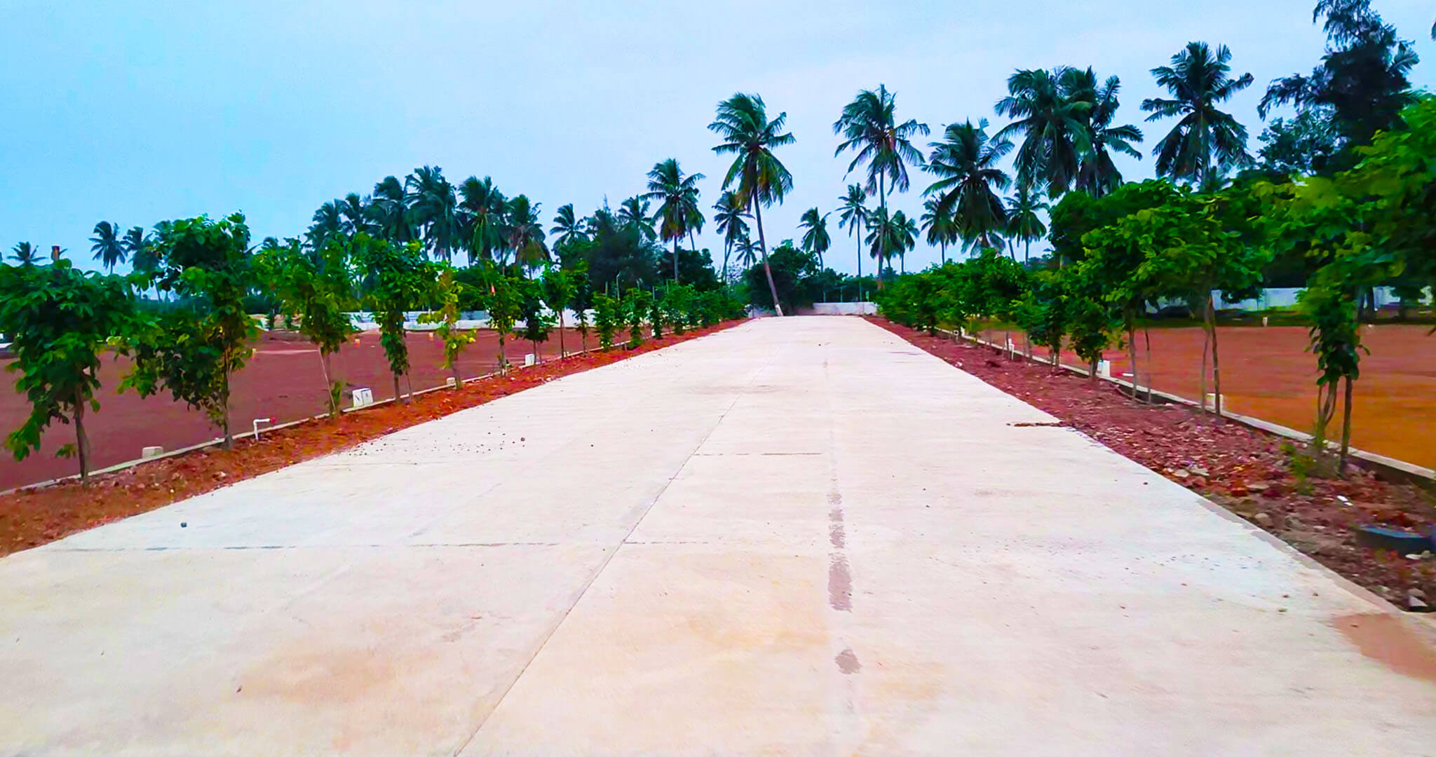 kakinadaavenueplantation_uxmja_2048