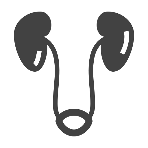 bladder1_qzmtq_512