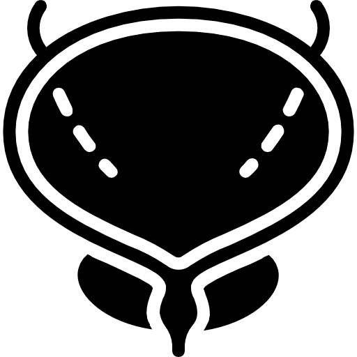 bladder2_m4mji_512