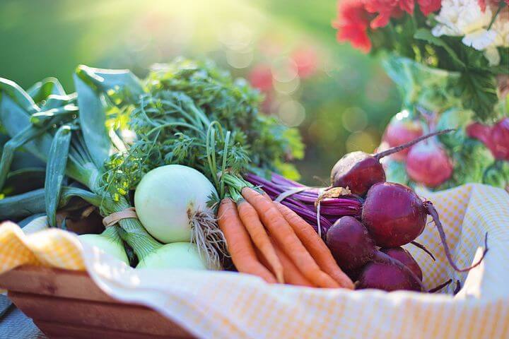 a0mtq_720_plantbaseddiet